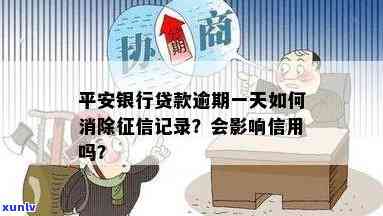 平安逾期一天怎么补救？作用大吗？是不是会纳入记录？详细解析