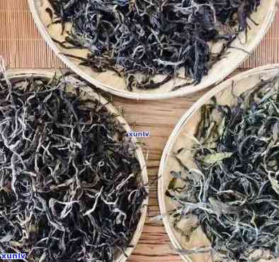 昔归冰岛属于什么茶，揭秘茶叶珍品：昔归冰岛，它属于哪种茶？