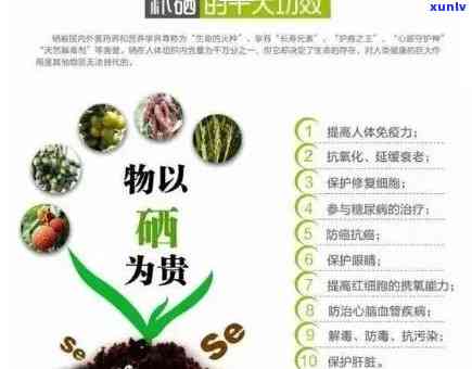 茶叶含硒有什么好处-茶叶含硒有什么好处和作用