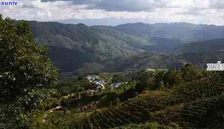 布朗山景迈山区别，探究布朗山与景迈山的差异：一次深度对比之旅