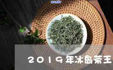 冰岛茶王是什么茶?-冰岛茶王是什么茶