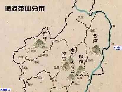 探索普洱茶易武冰岛布朗：三大茶区、特点及区别