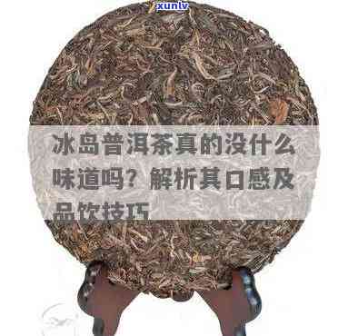 冰岛茶叶为什么好喝呢，揭秘冰岛茶的特别口感，为何如此受欢迎？