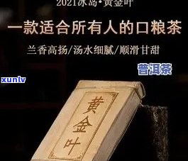 冰岛黄金叶茶砖价格260克：多少？功效如何？