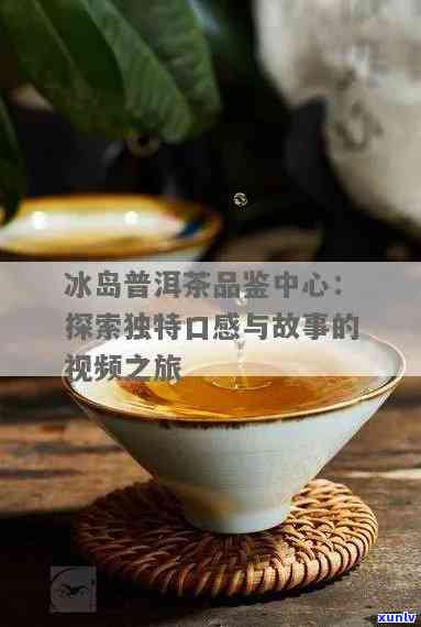 播放冰岛茶介绍，探索神秘的北风情：冰岛茶介绍视频