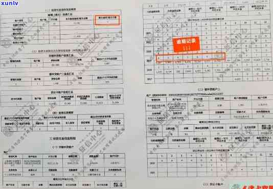 中国人民银行逾期情况说明，熟悉您的信用状况：中国人民银行逾期情况说明