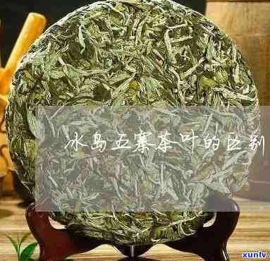 冰岛五寨茶是哪五寨茶，揭秘冰岛五寨茶：了解这五种独特的茶叶品种