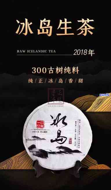 冰岛古树茶百度百科-冰岛古树茶百度百科