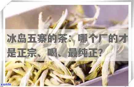 冰岛五寨的茶哪个厂的正宗，冰岛五寨：哪家厂家的茶叶最正宗？