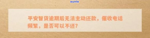 冰岛黄皮生茶的图片，探索冰岛黄皮生茶的魅力：令人惊叹的自然美景与独特的茶叶风味