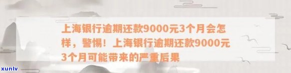 上海银行逾期7个月了怎么办？多久会被起诉、上？没钱还是不是要一次性结清？还款9000元3个月会有何结果？逾期一年怎样解决？