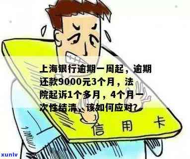 上海银行逾期7个月了怎么办？多久会被起诉、上？没钱还是不是要一次性结清？还款9000元3个月会有何结果？逾期一年怎样解决？