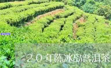 两年陈冰岛古树生茶-陈年冰岛茶有什么特点