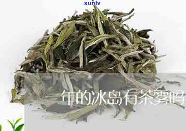 一年的冰岛有茶雾吗-冰岛有茶叶吗