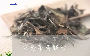 假冰岛茶多少钱一斤-冰岛茶造假