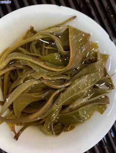 冰岛糯毛茶初制所-冰岛糯茶简介