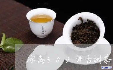 冰岛百年老树茶图片-冰岛百年老树茶图片大全