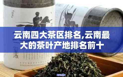 云南的茶叶产地排名：揭秘十大名茶之首及其出产地