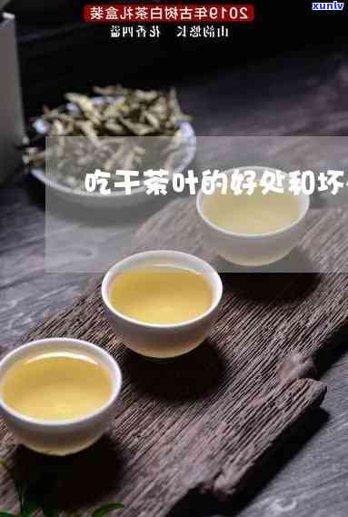 干吃茶叶有什么好处和坏处，探讨干吃茶叶的利弊：有哪些好处和坏处？