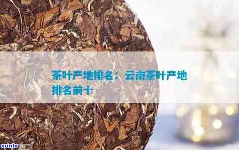 云南茶叶最多的地方是哪儿，揭秘云南茶叶产量之最：哪个地方产出的茶叶最多？