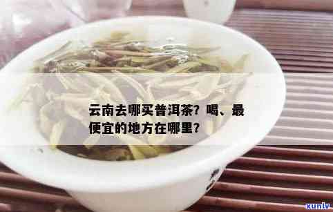 云南哪里茶叶比较好喝？推荐几个性价比高的茶区