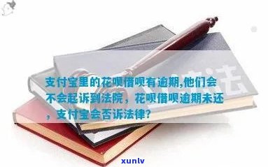 花呗逾期中国人民银行能起诉吗，花呗逾期是不是会遭到中国人民银行的起诉？