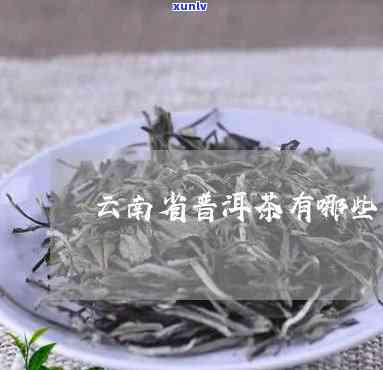 云南哪个牌子茶叶好-云南哪个牌子茶叶好一点