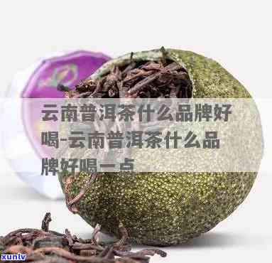 云南哪个牌子茶叶好-云南哪个牌子茶叶好一点