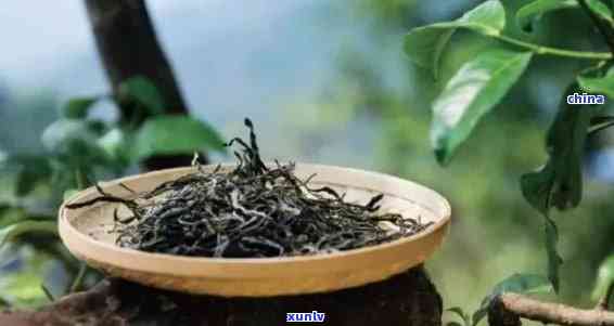 云南茶叶的种类，探索云南：了解各种独特的茶叶品种