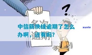 中信新快线逾期十几万-中信新快线逾期十几万怎么办