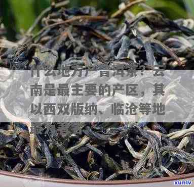 云南茶叶之都：种类多样，既有大叶种也有其他品种，不仅是普洱茶的重要产地，还分布于多个县区。