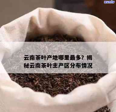 云南茶叶之都：种类多样，既有大叶种也有其他品种，不仅是普洱茶的重要产地，还分布于多个县区。