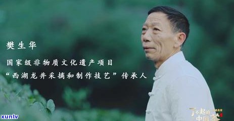 冰岛茶王历年拍卖价格：从2014年至2023年的变迁