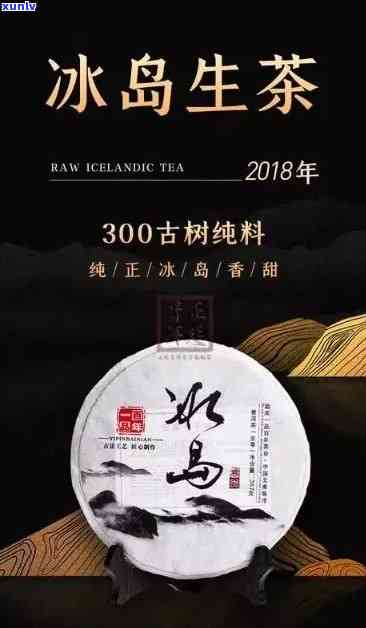 冰岛千年古树茶1997，探索千年古树茶的奥秘：冰岛1997年款