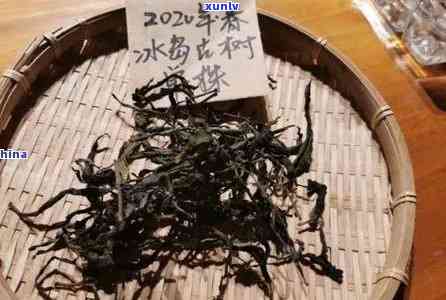 冰岛千年古树茶1997，探索千年古树茶的奥秘：冰岛1997年款