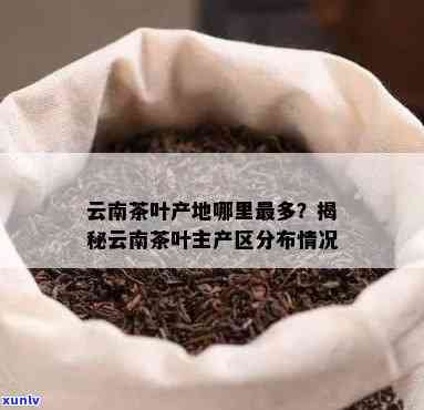 云南茶叶加工点在哪里，寻找美味云南茶叶？揭秘茶叶加工点位置！