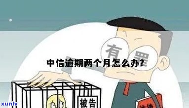 中信逾期2个月怎么办-中信逾期2个月怎么办理