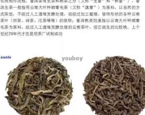 云南茶叶介绍说明文，探索云南的茶文化：一份详细的茶叶介绍说明文