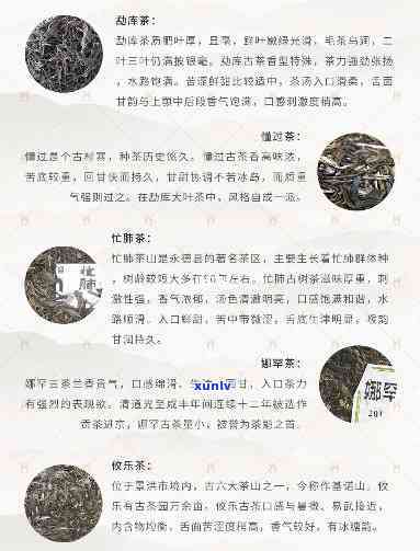 云南茶叶介绍说明文，探索云南的茶文化：一份详细的茶叶介绍说明文