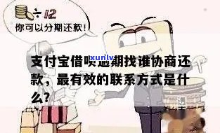 古龙茶叶的价格图片及价格，探究古龙茶叶的价格走势：高清价格图片与最新市场价对比