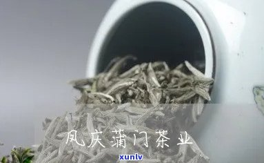 冰岛熟茶的品种、与特点全面解析