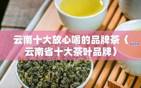 云南茶叶有哪些牌子？详解云南茶叶大全及排行榜前10名