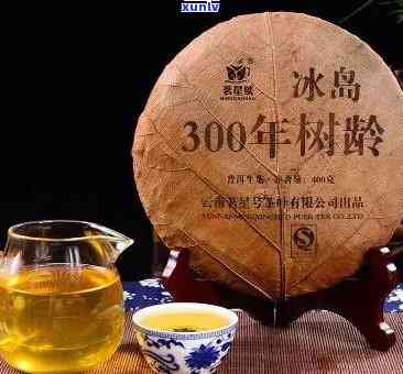 冰岛百年古树茶2004的价格是多少？