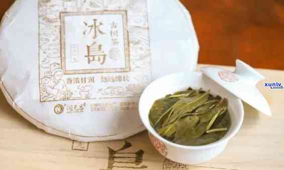 春香一族冰岛古树茶-冰岛古树春茶多少钱一斤