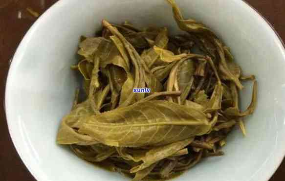 冰岛茶是一芽一叶吗，一芽一叶的冰岛茶，你了解多少？