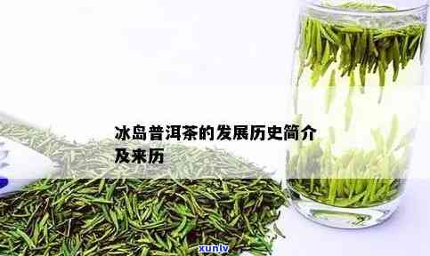 冰岛茶哪年开始生产，探究冰岛茶的起源：哪一年开始生产？