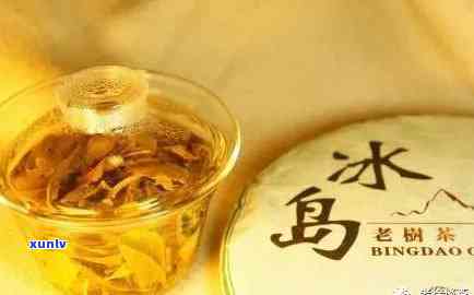 冰岛70周年念茶是什么茶，解密冰岛70周年念茶：这是一种什么样的茶？