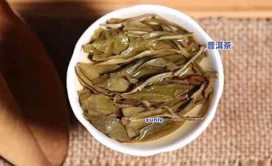 冰岛单株是生茶吗，探究冰岛单株茶叶的特性：它是生茶还是熟茶？