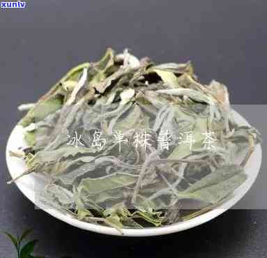 百度百科冰岛单株茶-冰岛单株是什么茶