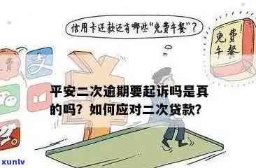 北方存放普洱茶：密封袋是否必要及其解析